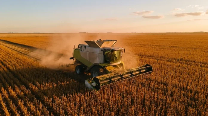 El agro liquidó USD 2.750 millones en agosto, 33% más que en agosto de 2025